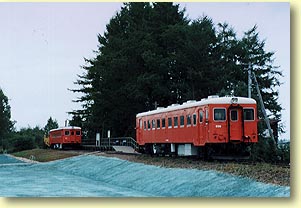 �K���w��
