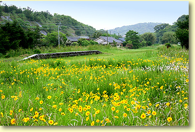 薩摩万世駅跡