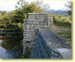 �h�J���ɂ��鋴���