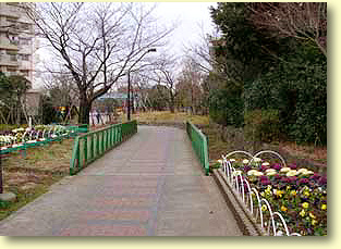 image0005