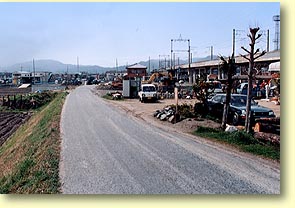 曲線緩和跡