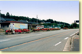 �O���w��