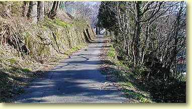 �؊��V�n��̏�𑖂���H��