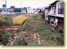 築堤跡