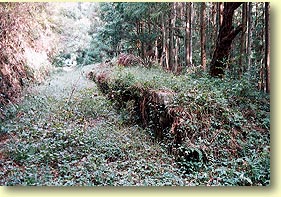 三河大草駅跡