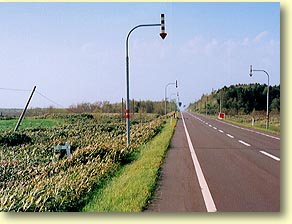 ���z�W