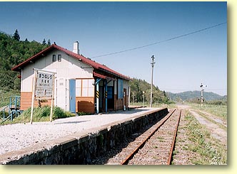 �����m�w��