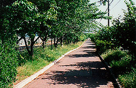 廃線跡